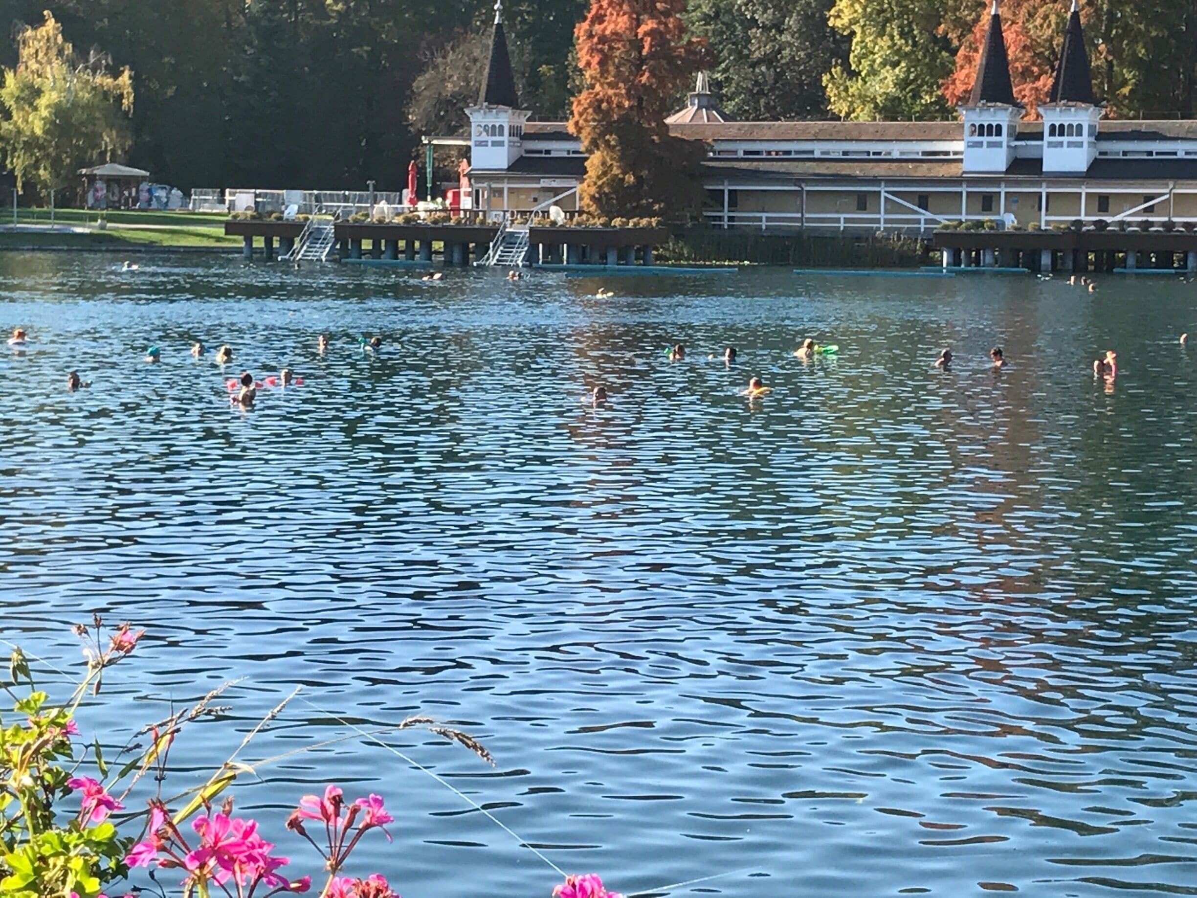 A fantastic place near Balaton lake in Hungary. The whole lake is thermic, people are swimming around in the hot water for hours. My silver necklace turned black. 