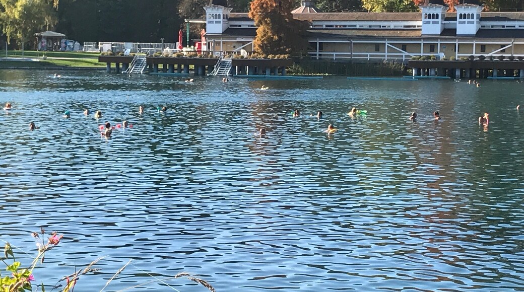 A fantastic place near Balaton lake in Hungary. The whole lake is thermic, people are swimming around in the hot water for hours. My silver necklace turned black.