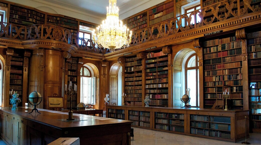 Beautful library in the Festetics Palace - sole intact aristocratic private library - collected by the family for 200 years