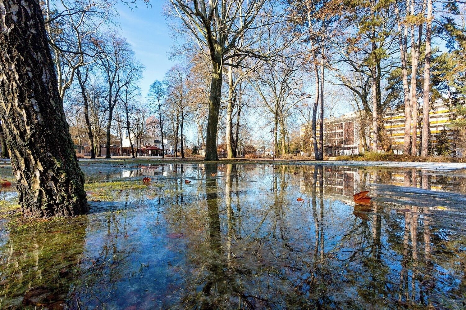 #Parks #BvSParks

Last winter as the snow melted so quickly small ponds were born in the park. It was very rare opportunity to make some unique photos.
