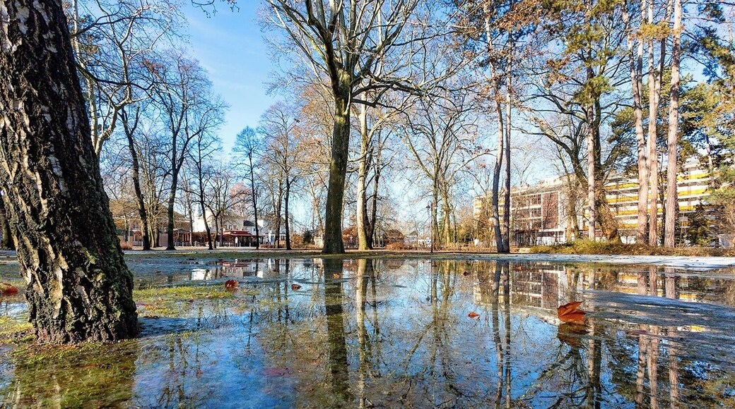 #Parks #BvSParks
Last winter as the snow melted so quickly small ponds were born in the park. It was very rare opportunity to make some unique photos.