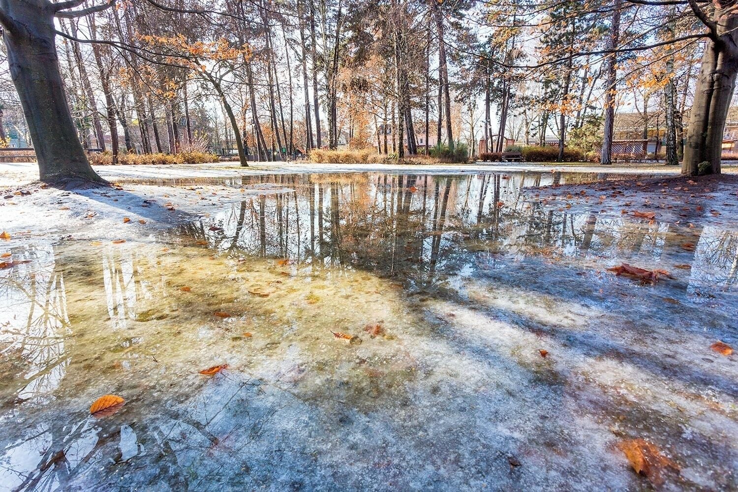 #Parks #BvSParks

Last winter as the snow melted so quickly small ponds were born in the park. It was very rare opportunity to make some unique photos.