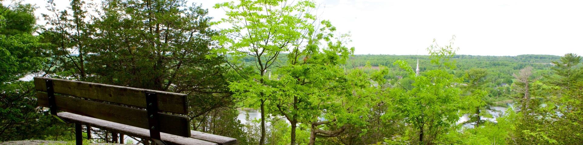 Westport featuring views