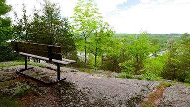 Westport joka esittää näkymät