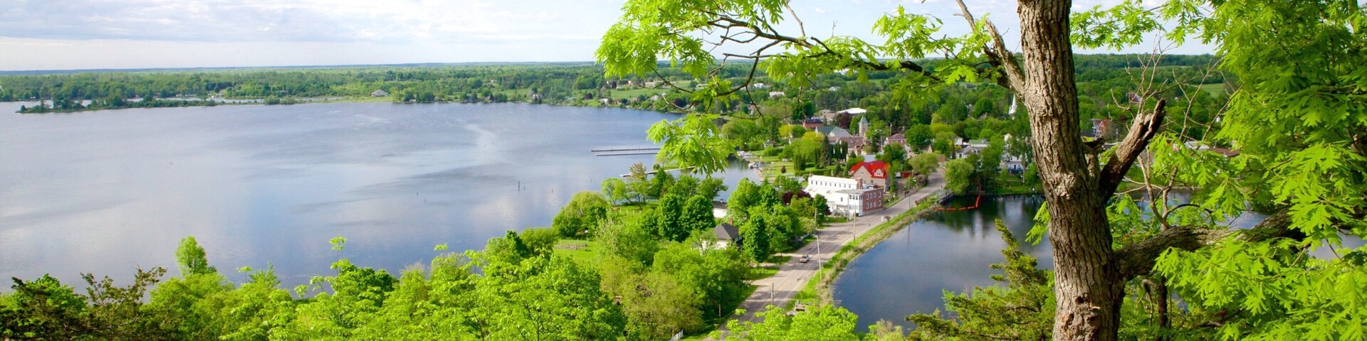Un lago rodeado de abundante vegetación y un pequeño pueblo con edificios cerca de la orilla.