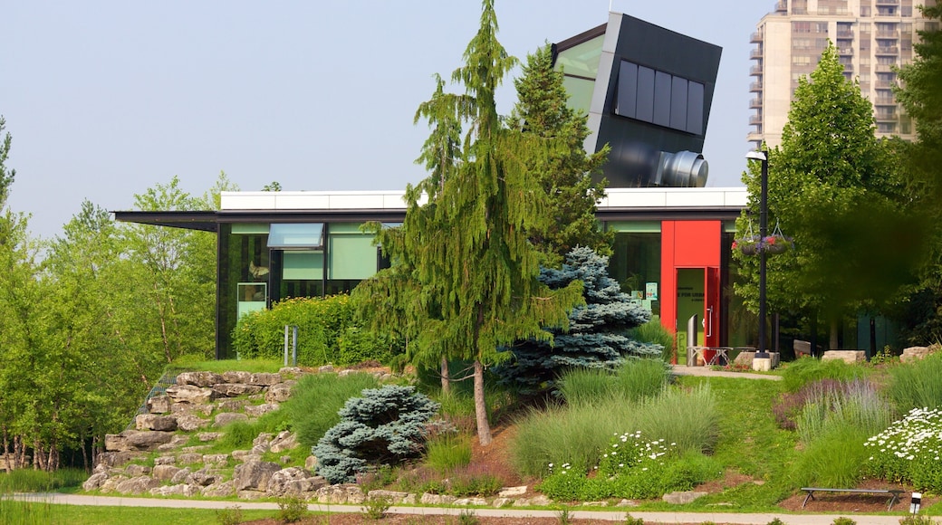 Rexdale mostrando architettura moderna