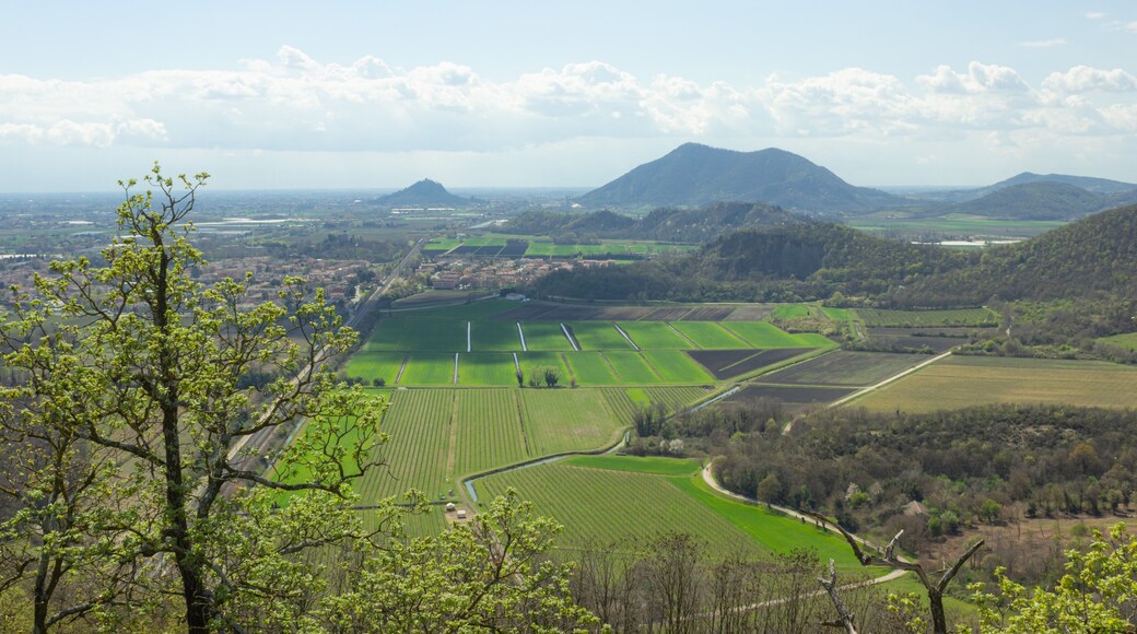 Hilly landscape. Trail on Monte Ceva. Aerial view of the Terme Euganee, Padua and the cultivated fields. Green spring landscape.