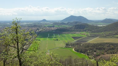 Hilly landscape. Trail on Monte Ceva. Aerial view of the Terme Euganee, Padua and the cultivated fields. Green spring landscape.