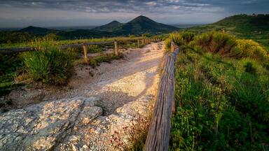 Colli Euganei, Italy. Vineyards of Italy. Hiking area near Padua. Pianoro del Mottolone trail.