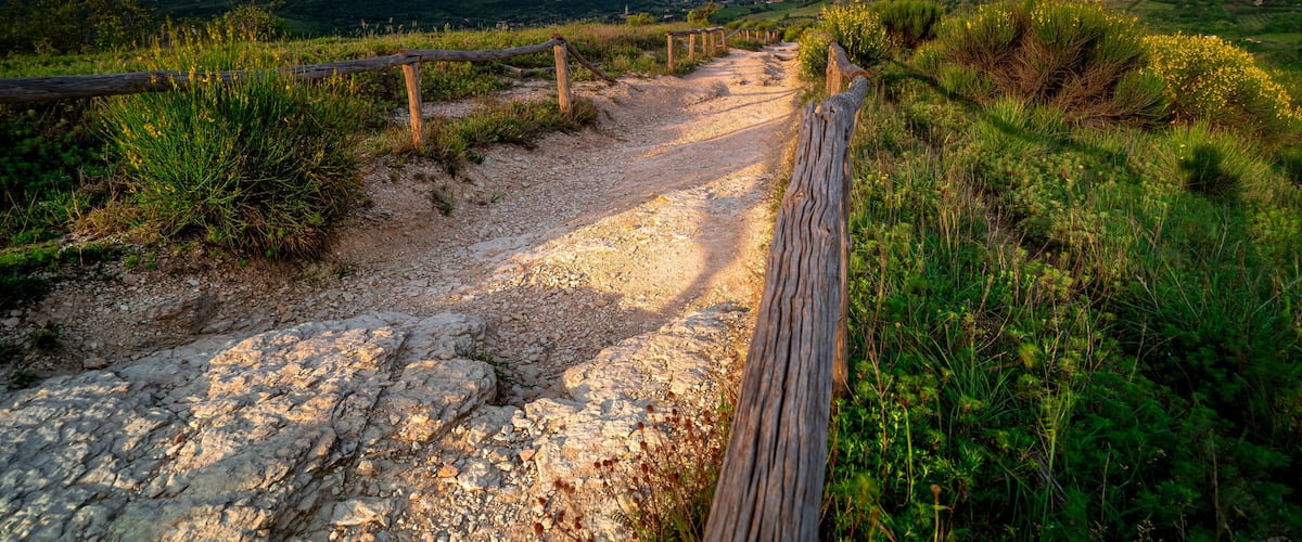 A gravel path with wooden railings leading to a mountain.
