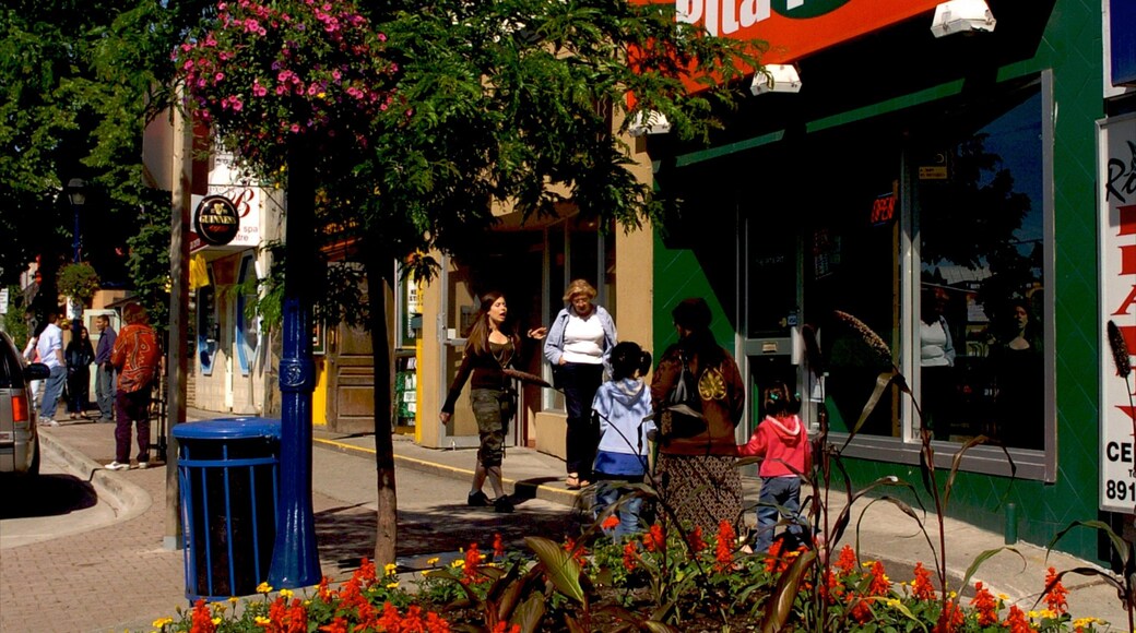 Port Credit featuring a city and street scenes