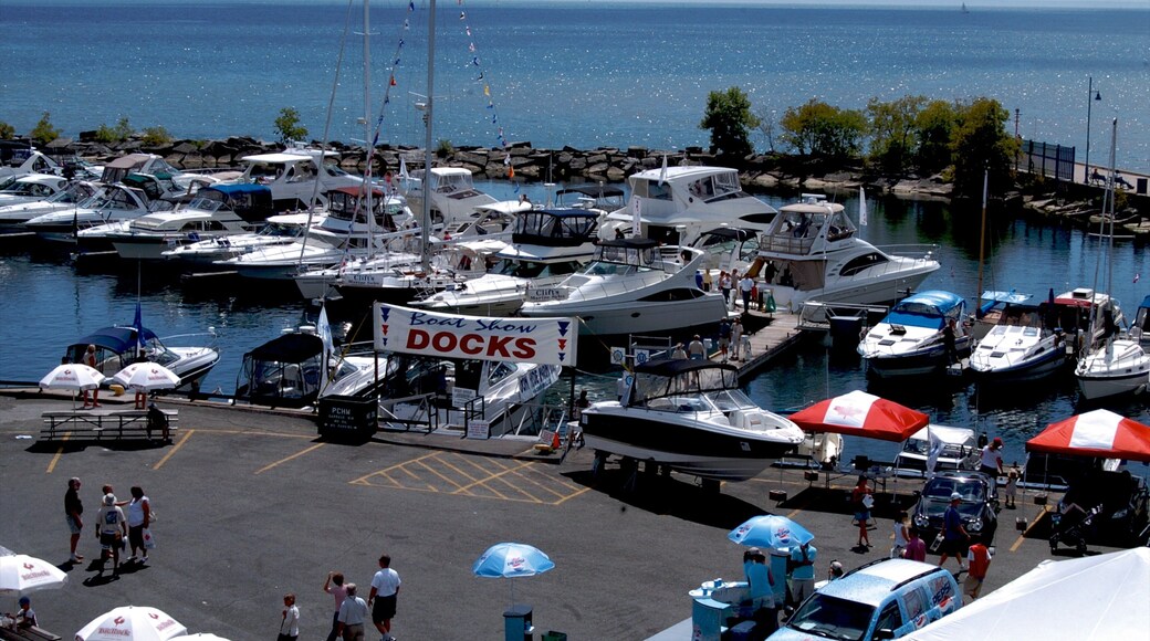 Port Credit showing signage, general coastal views and a marina
