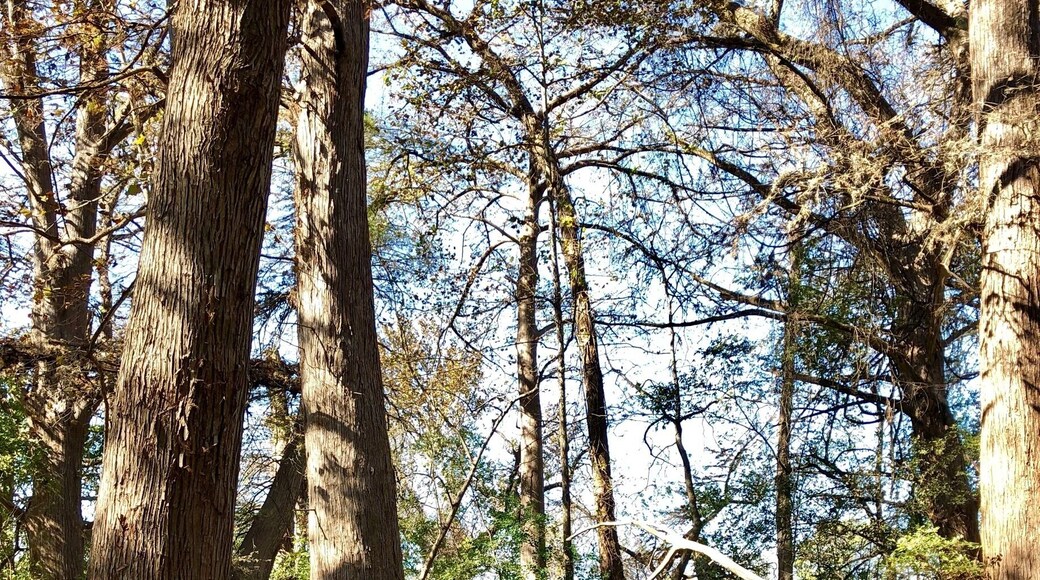 Perfect place for a short trail run or quick hike.