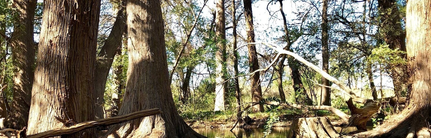 Perfect place for a short trail run or quick hike.