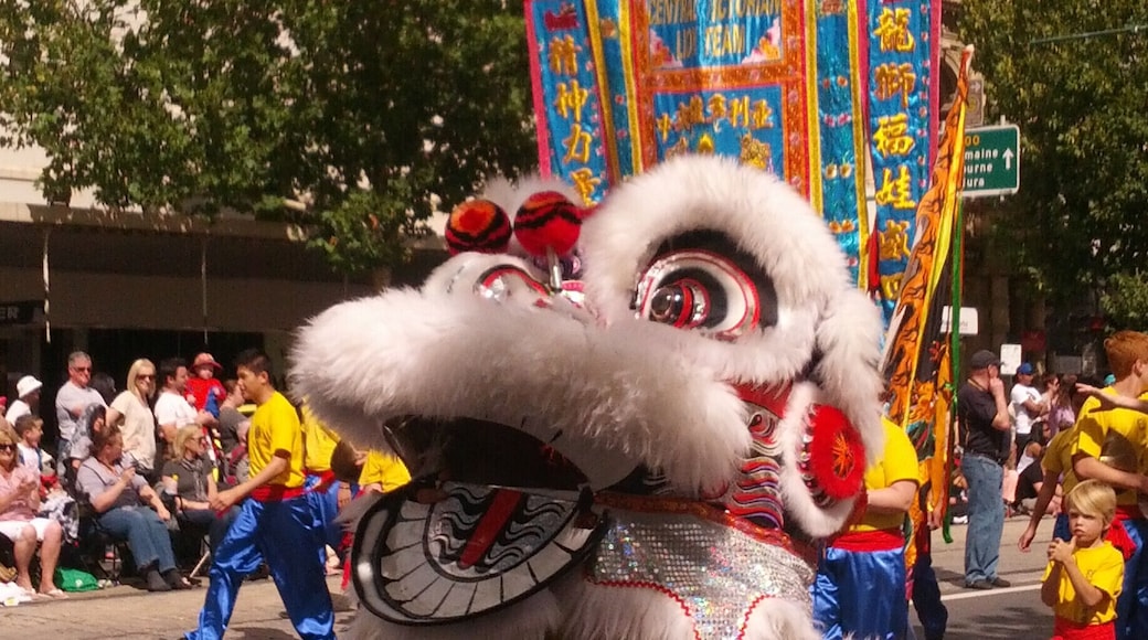One person dragon from the Bendigo Easter Parade (2013). One of many traditional chinese dragons on the march in this long parade each Easter Sunday. It's a reminder of the town's gold-rush past when many chinese migrants worked in local gold mines.