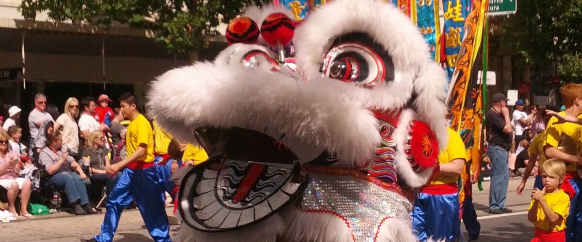 One person dragon from the Bendigo Easter Parade (2013). One of many traditional chinese dragons on the march in this long parade each Easter Sunday. It's a reminder of the town's gold-rush past when many chinese migrants worked in local gold mines.