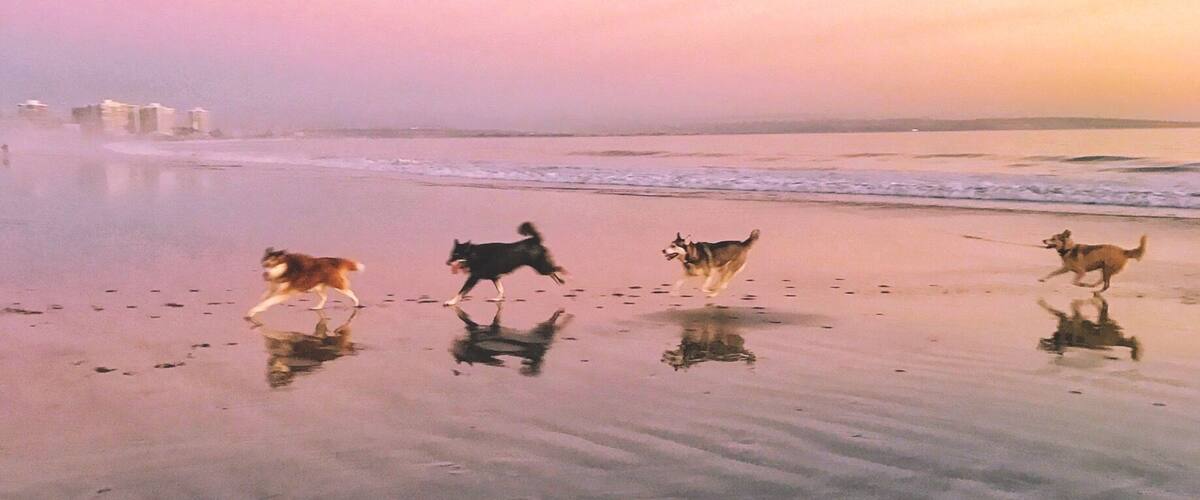 Favorite sunset