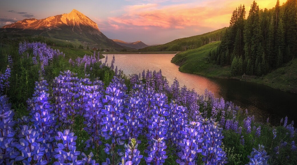 Had such a beautiful trip to the wildflower festival this year! #adventure