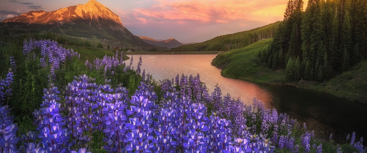 Had such a beautiful trip to the wildflower festival this year! #adventure