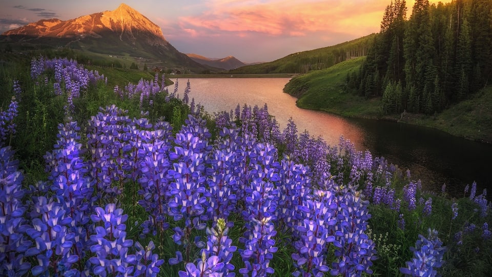 Had such a beautiful trip to the wildflower festival this year! #adventure