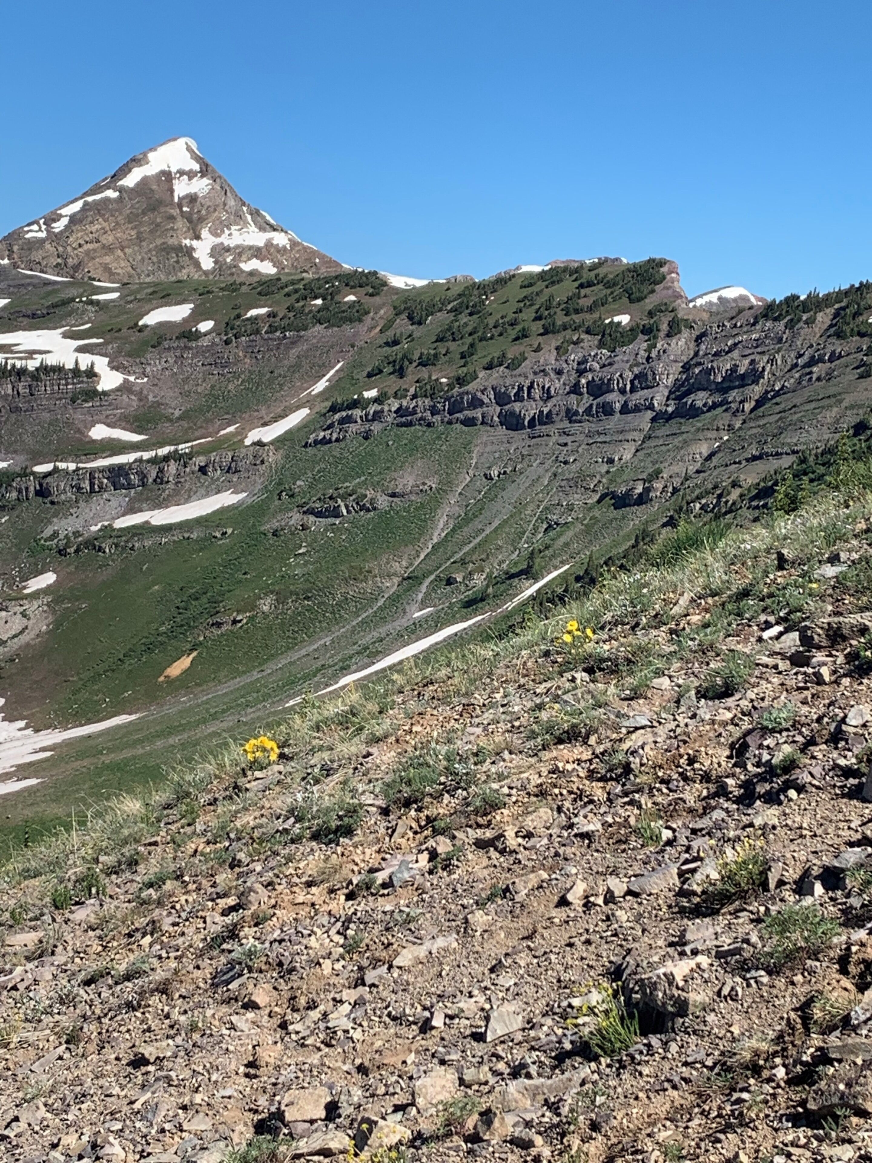 Scarp Ridge hike. Amazing.