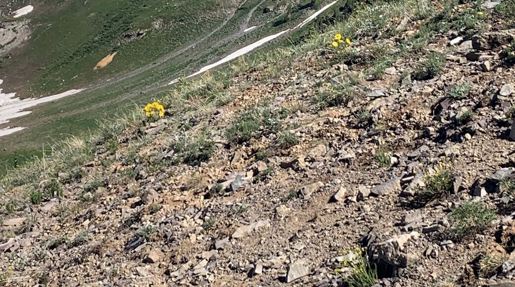 Scarp Ridge hike. Amazing.