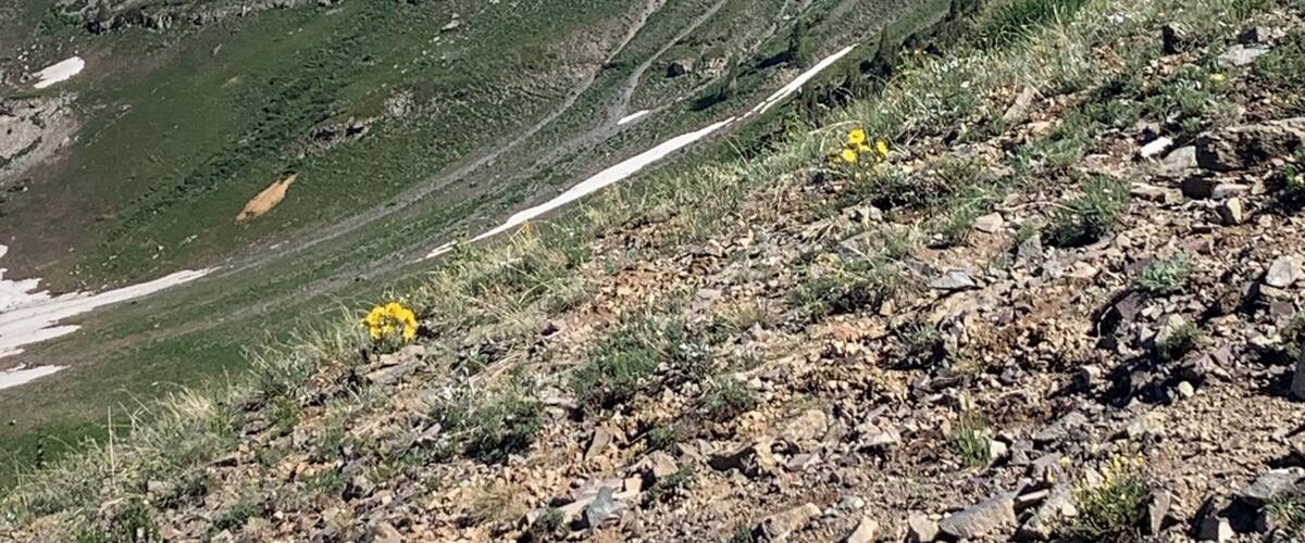 Scarp Ridge hike. Amazing.