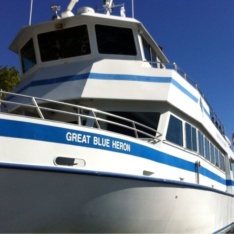 Boat we took to get to flowerpot island