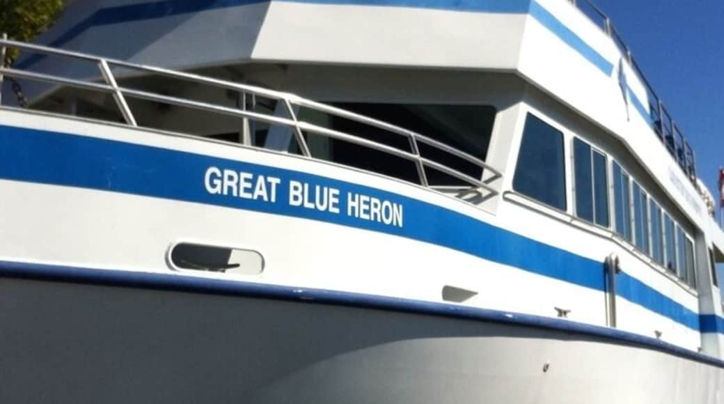 Boat we took to get to flowerpot island