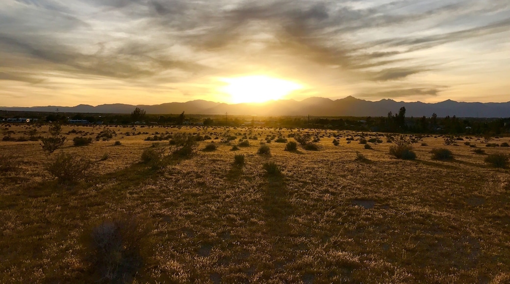 Just before sunset over the Sierra's. The green of spring is quickly turning golden.