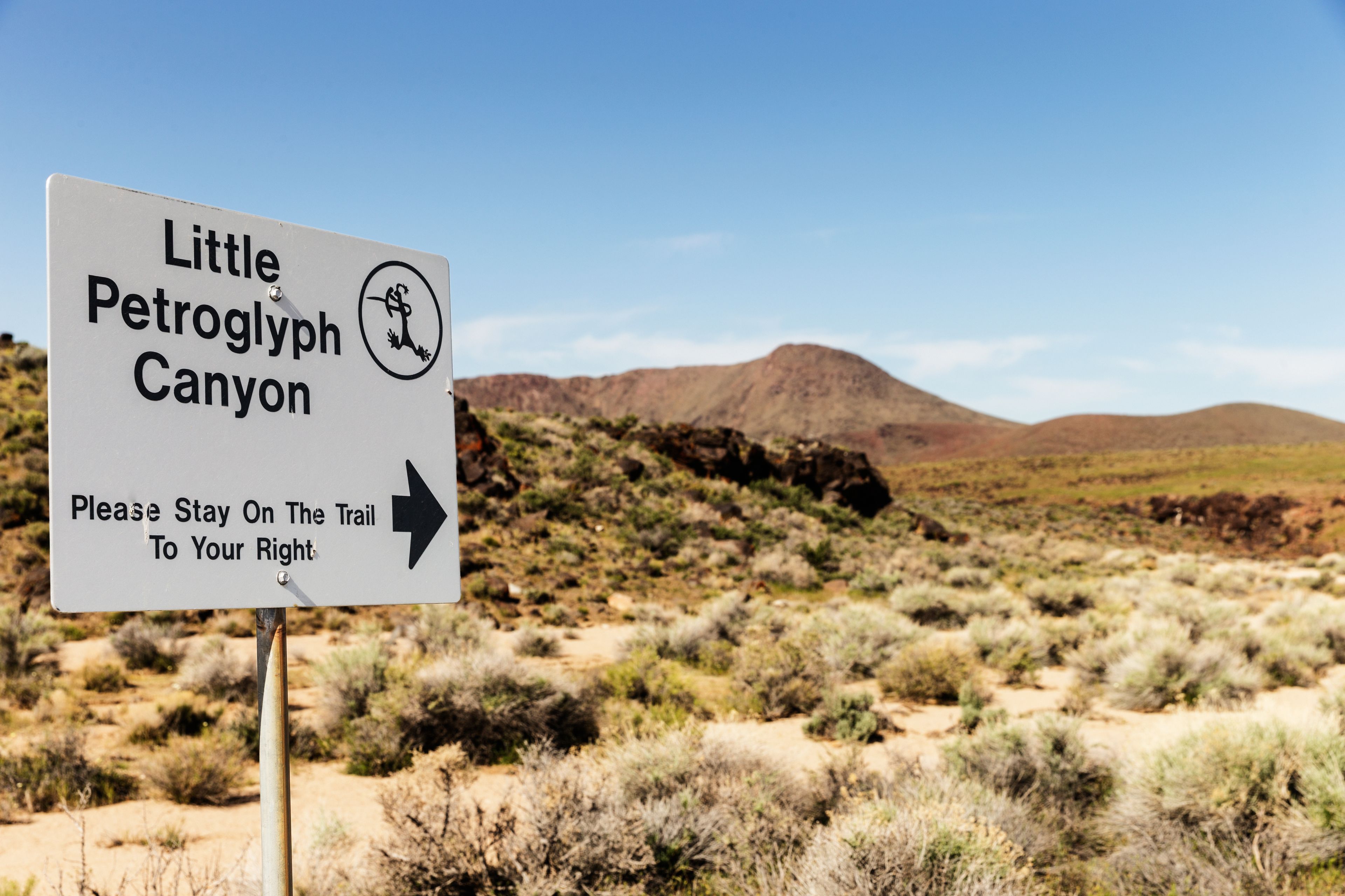 A sign for Little Petroglyph Canyon with a symbol of a petroglyph and an arrow pointing right.