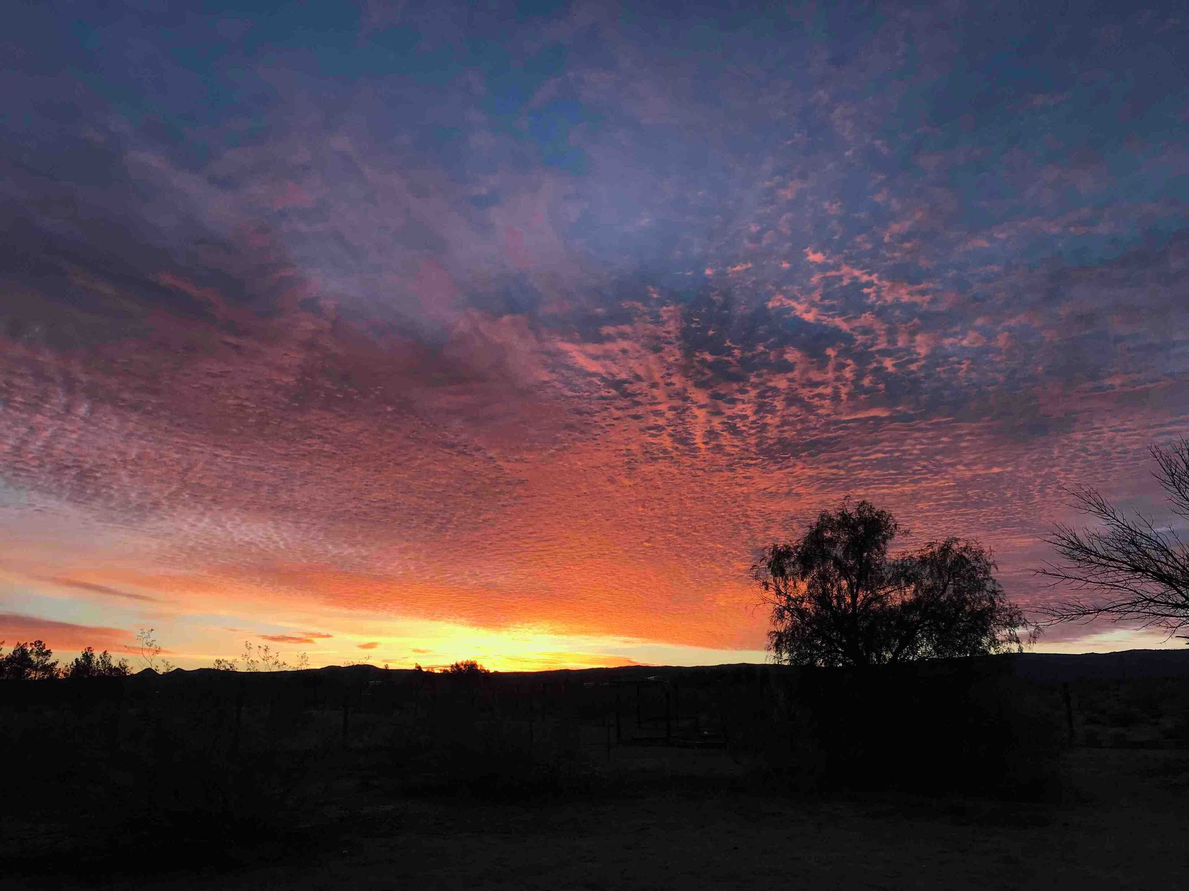 A sunset over a rural landscape with a tree silhouette and a fence line.