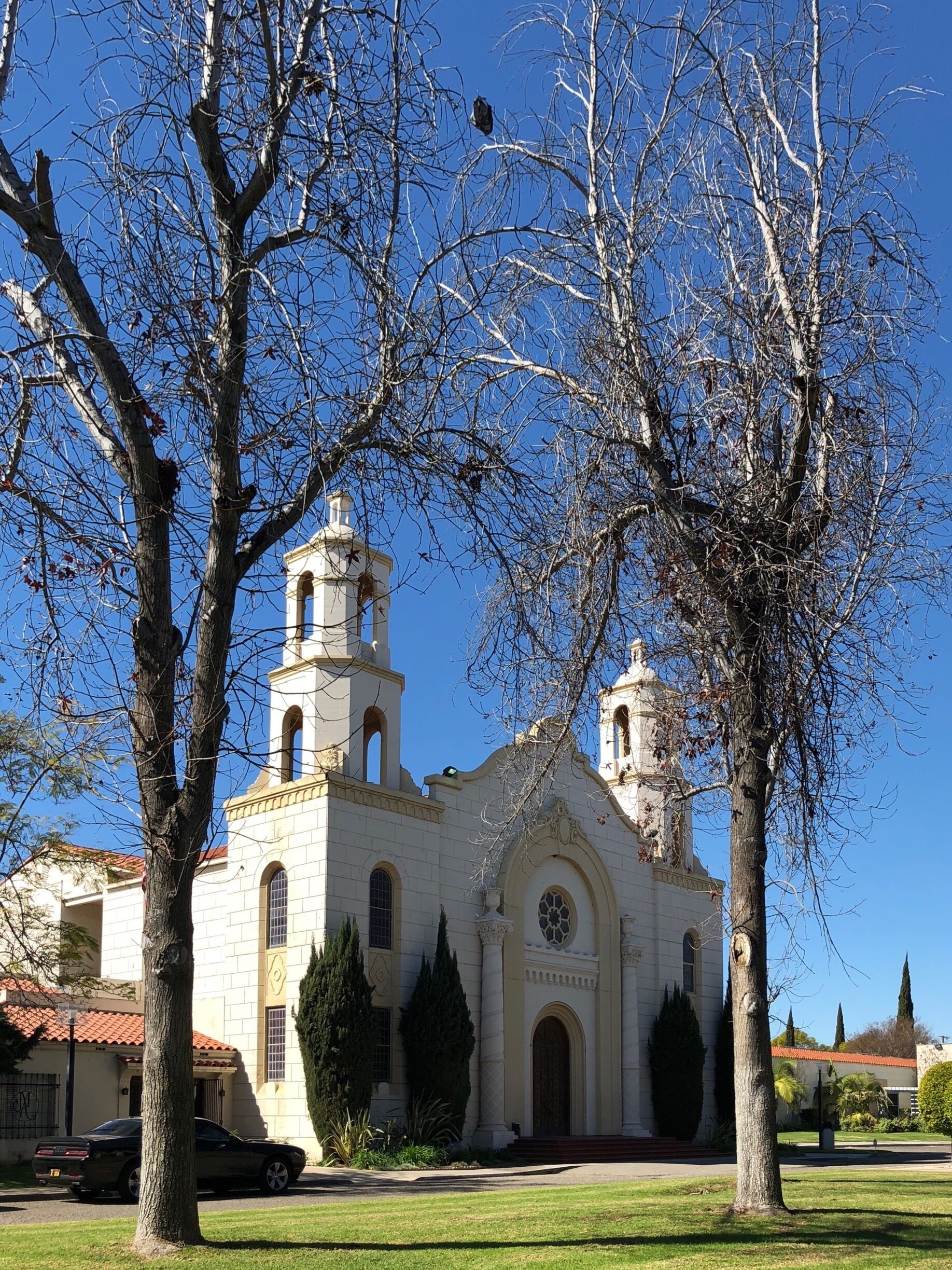 Melrose Abbey this morning, 16 February 2018