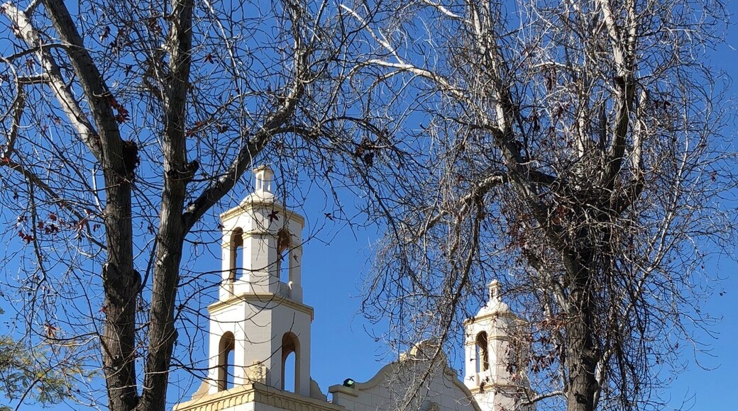 Melrose Abbey this morning, 16 February 2018