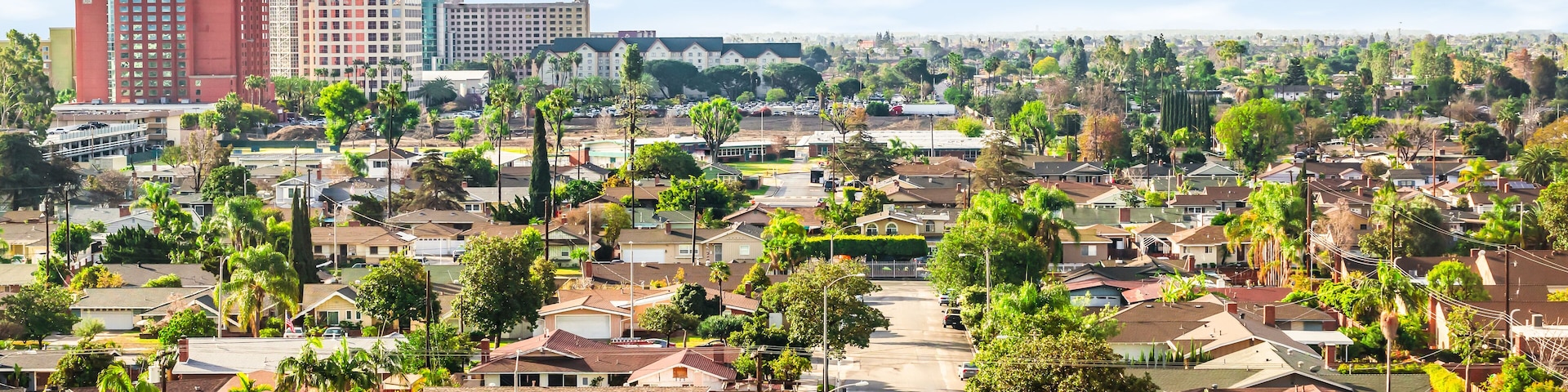 A suburban neighborhood with residential houses, palm trees, and a distant city skyline.