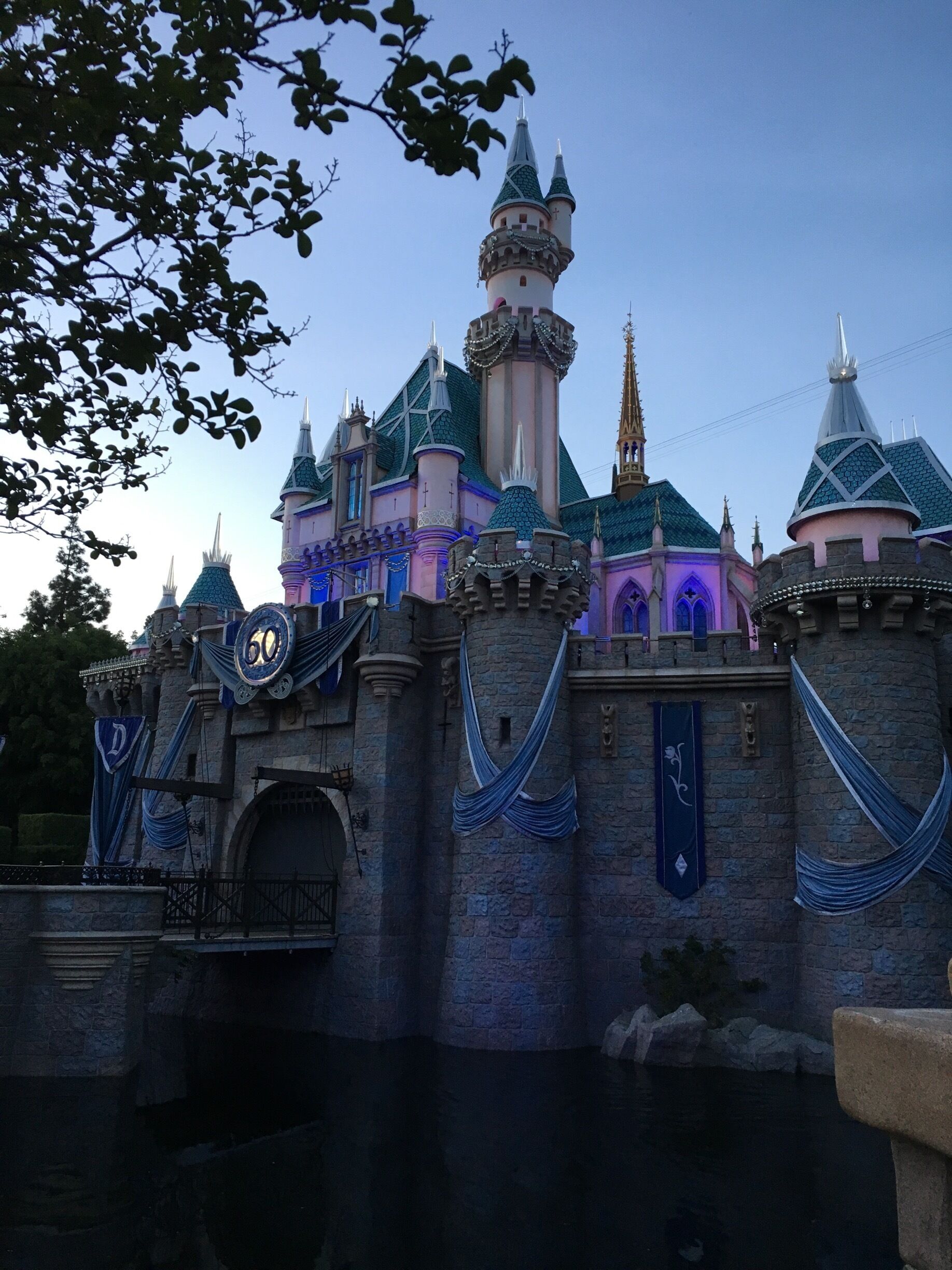 Front of Sleeping Beauty Castle. Disneyland 60th Diamond anniversary 💎