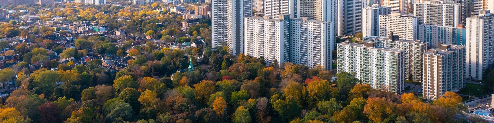 downtown Toronto with Riverdale east park trees with fall colours red green orange and yellow leaf colours. the CN Tower and the Toronto skyline with blue skies and little clouds.