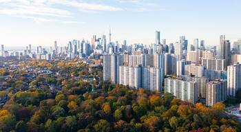 downtown Toronto with Riverdale east park trees with fall colours red green orange and yellow leaf colours. the CN Tower and the Toronto skyline with blue skies and little clouds.