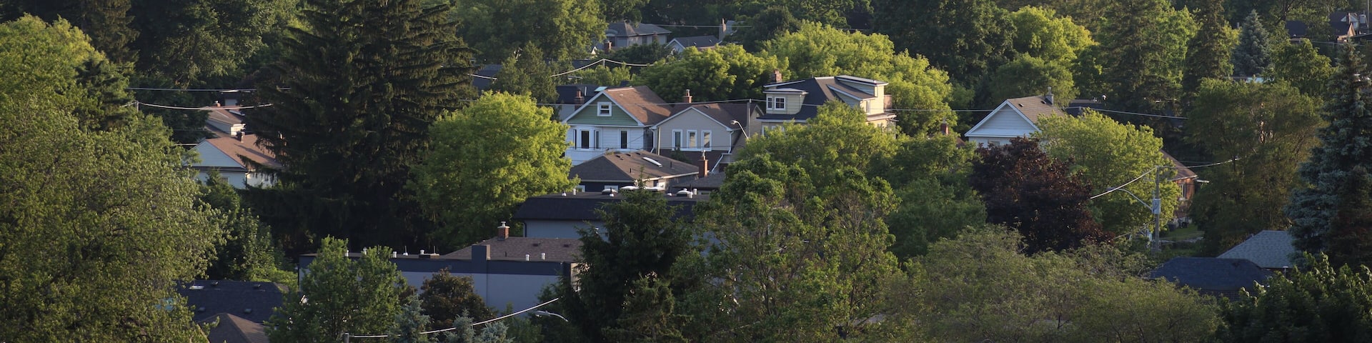 Landscape view of Toronto downtown in summer, the photo was taken from East York, Toronto. The photo was taken in East York on 30 June 2025