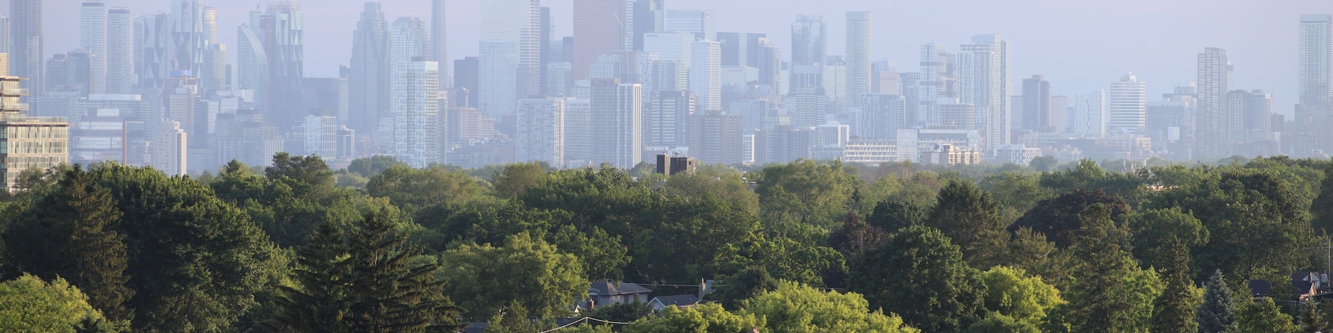 A city skyline with a prominent tower, surrounded by residential houses and dense greenery.