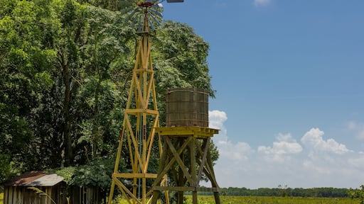 Agricultural landscape with windmill and Cistern at Armand Bayou Nature Park in Pasadena, Texas, USA