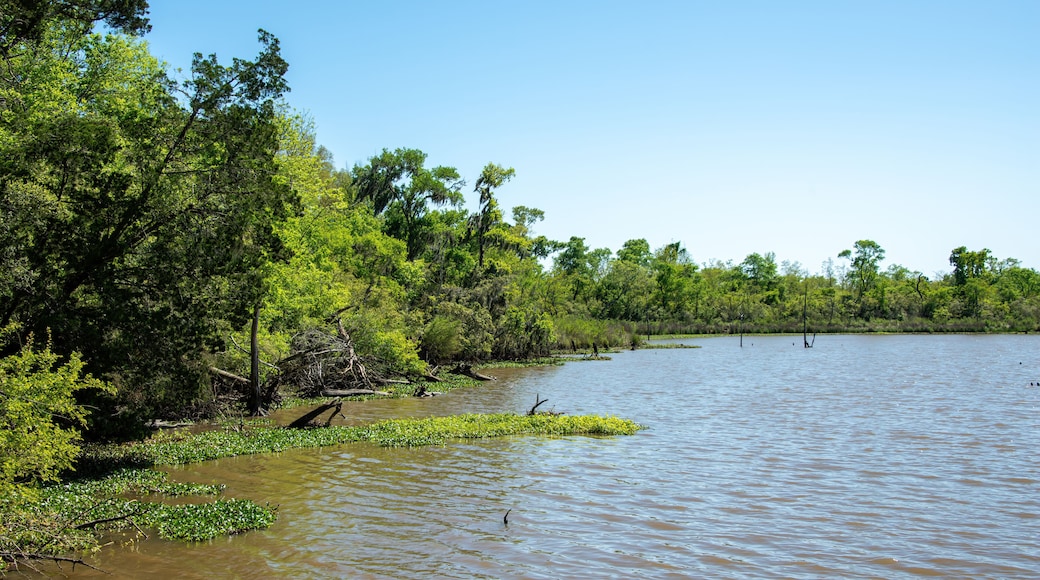 Armand Bayou Nature Center in Pasadena, Texas