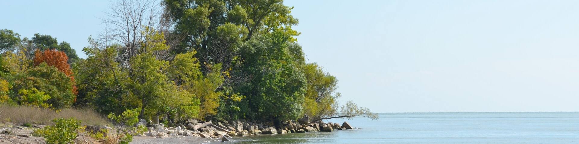 Lake Erie shoreline at Point Pelee, Ontario Canada