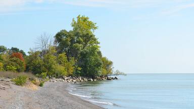 Lake Erie shoreline at Point Pelee, Ontario Canada
