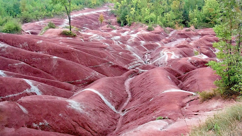 A red-hued landscape with terraced formations and sparse greenery.