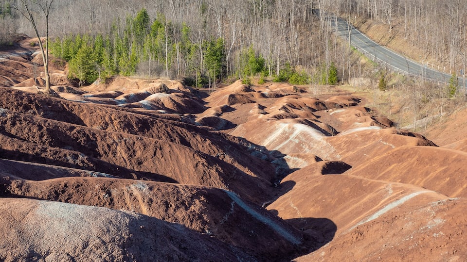 A mining area with exposed earth and sparse vegetation.