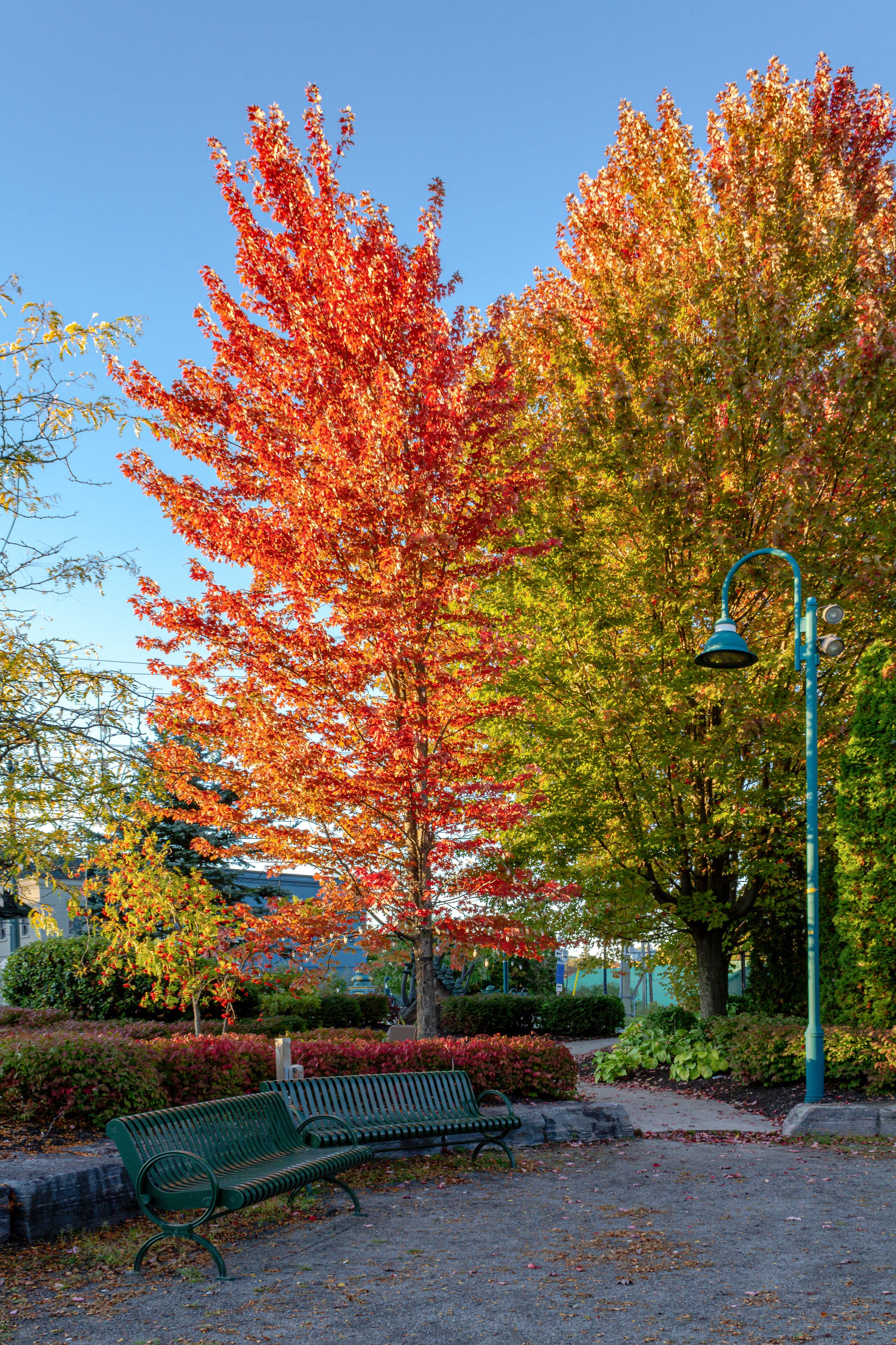 October Fall Colors in Muskoka, Ontario, Canada