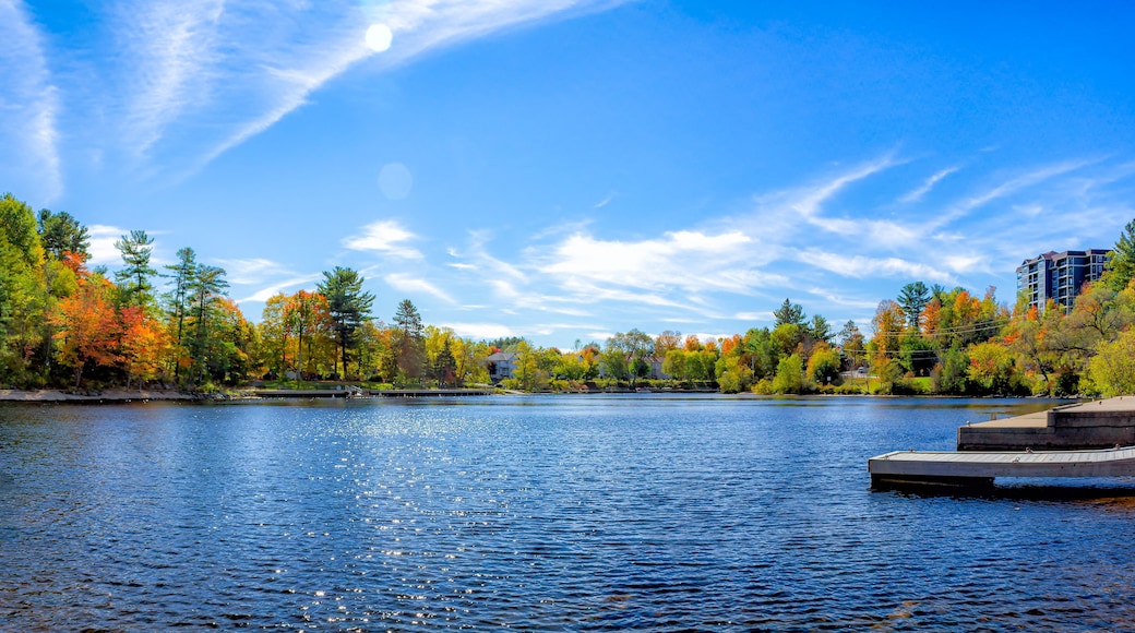 Bracebridge Bay and the Muskoka River during the Autumn, located in downtown Bracebridge