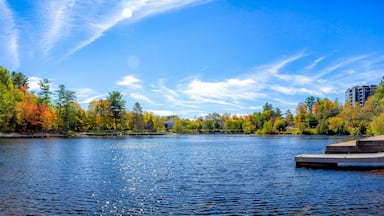 Bracebridge Bay and the Muskoka River during the Autumn, located in downtown Bracebridge