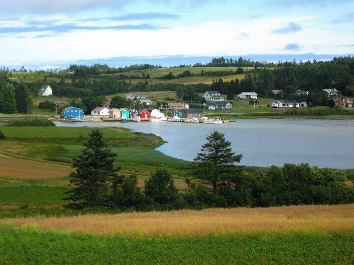 A lakeside village with houses and boats.